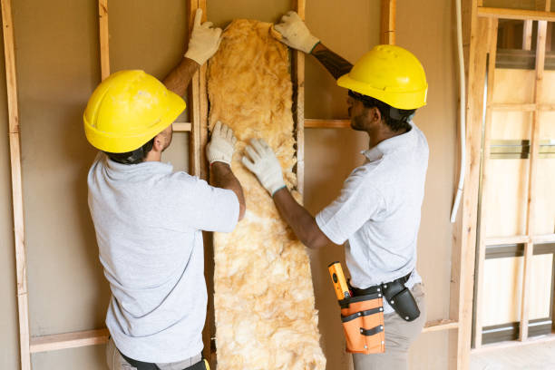 Best Professional Insulation Contractor  in Moreauville, LA