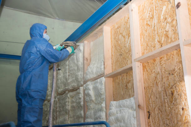 Insulation Repair Services in Moreauville, LA